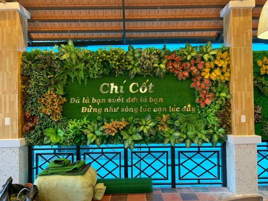 Trang trí tường cây nhân tạo